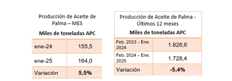 Producción de aceite de palma en Colombia comienza el año en verde Aceite de palma en Colombia