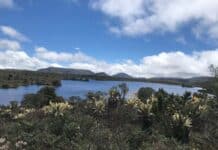 ¿Qué medidas se están tomando para la protección del agua en Bogotá?
