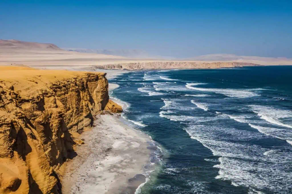 Perú ofrece nueva experiencia: Nadar con lobos marinos en Callao Reserva Nacional de Paracas. Foto: cortesía PromPerú.