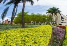 Plaza Mayor Inversión