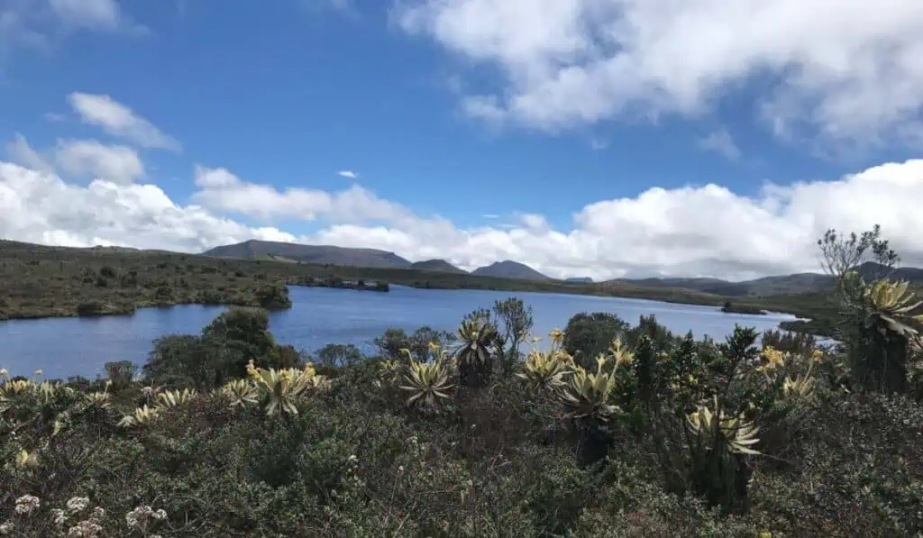 Sun Valley mejoró la OPA por acciones de Mineros en Bolsa de Colombia Sun Valley mejoró la OPA por acciones de Mineros en Bolsa de Colombia