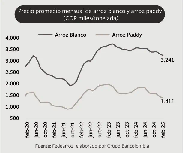 ¿Cómo apoyarán los nuevos recursos del Gobierno al sector arrocero en Colombia? Sector arrocero en Colombia