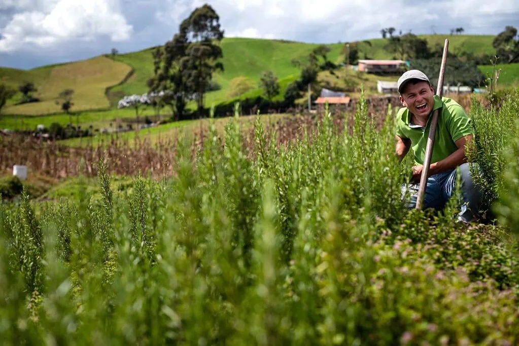 Inflación de los productores en Colombia subió levemente en julio y rompió racha bajista inflación en Colombia y agro