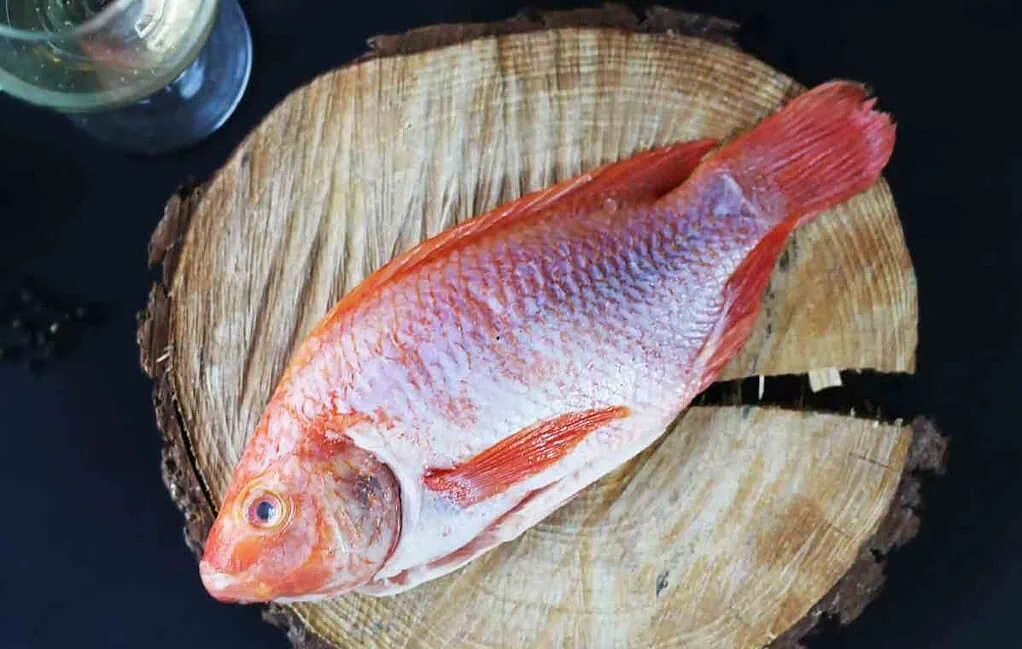 Almacén de cadena vende pescado de alta calidad a un precio accesible Almacén de cadena con la mojarra más económica