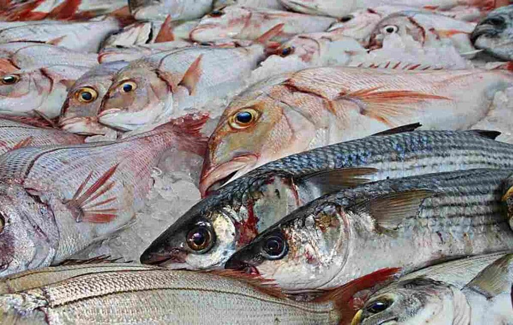 Demanda de pescado en Semana Santa