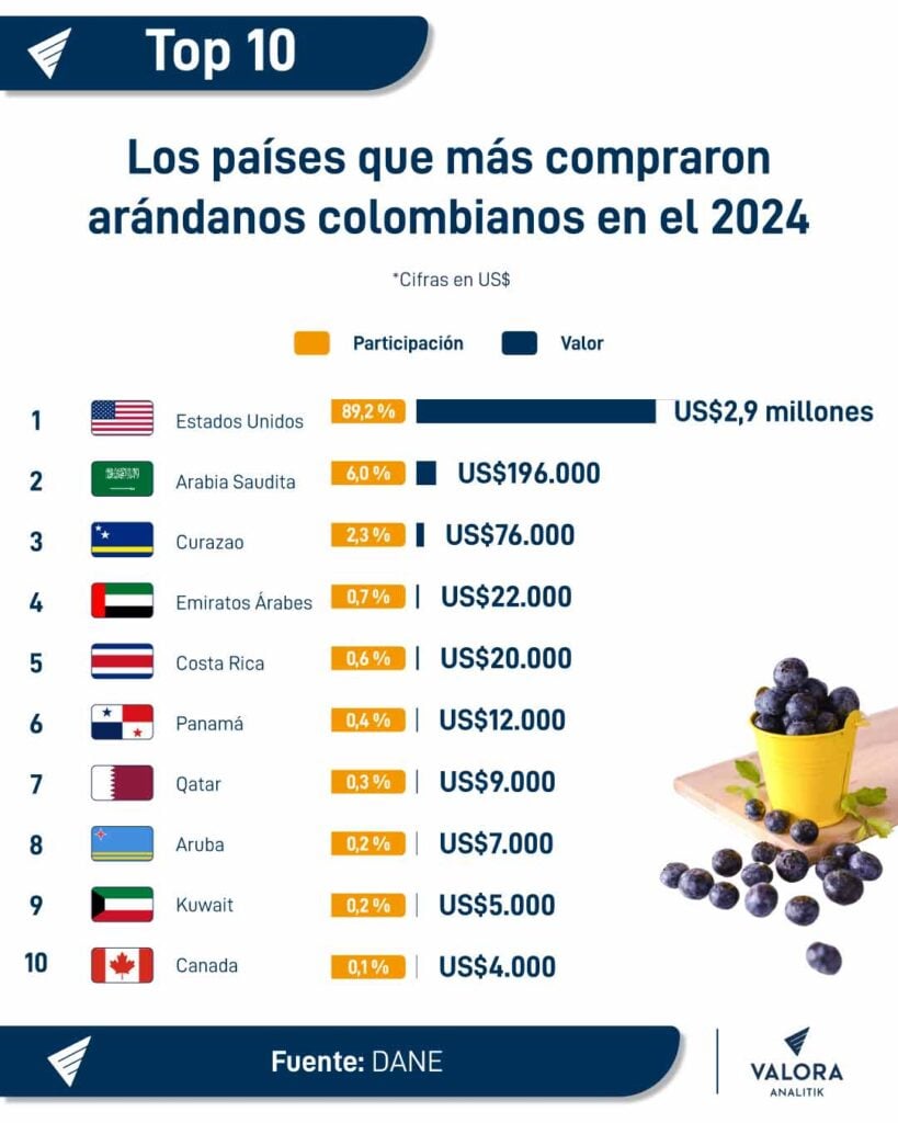 Arándanos colombianos