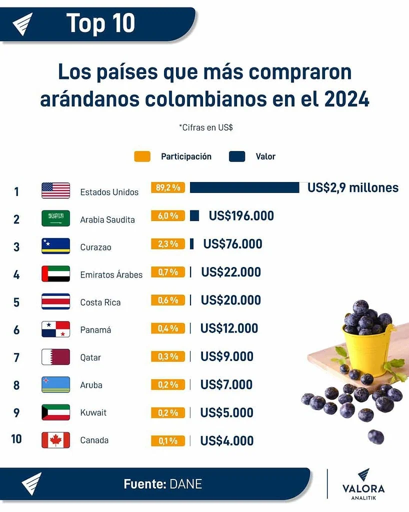 Exportaciones de arándanos en Colombia volvieron a crecer en 2024 después de tres años de caídas Arándanos colombianos