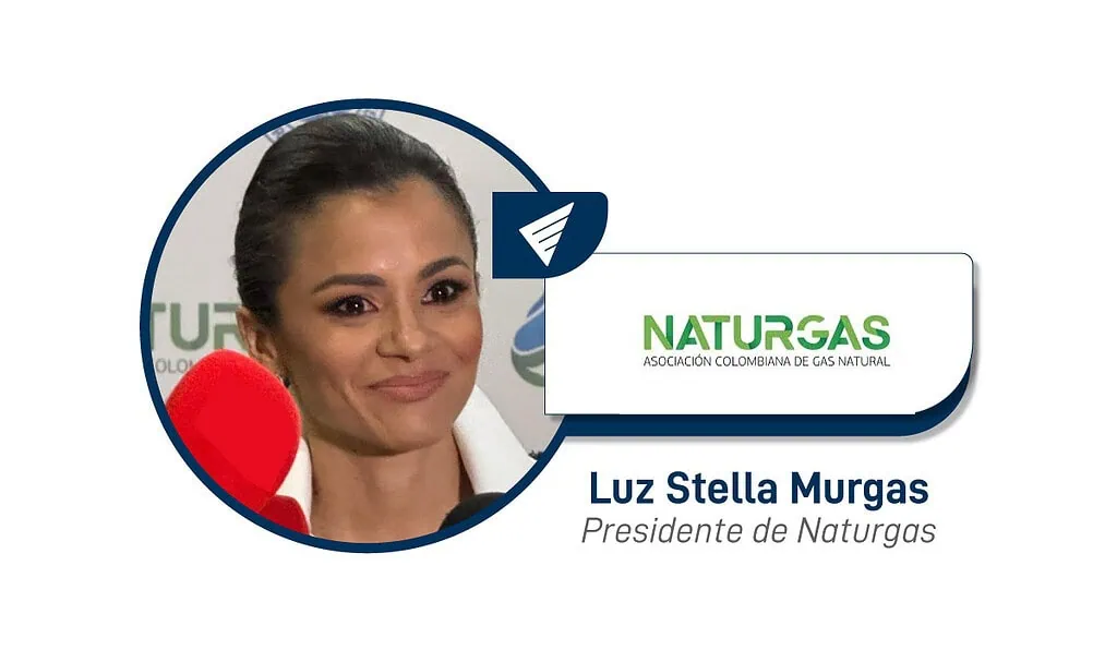 ¿Qué debe hacer Colombia para enfrentar el déficit de gas natural? ¿Qué debe hacer Colombia para enfrentar el déficit de gas natural?