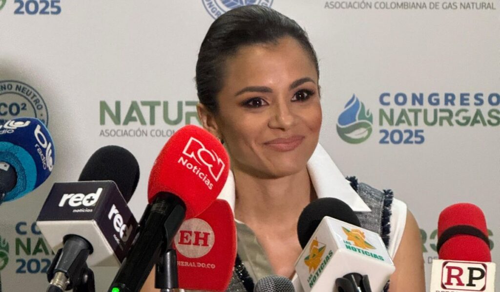 Luz Stella Murgas, presidente de la Asociación Colombiana de Gas Natural (Naturgas)