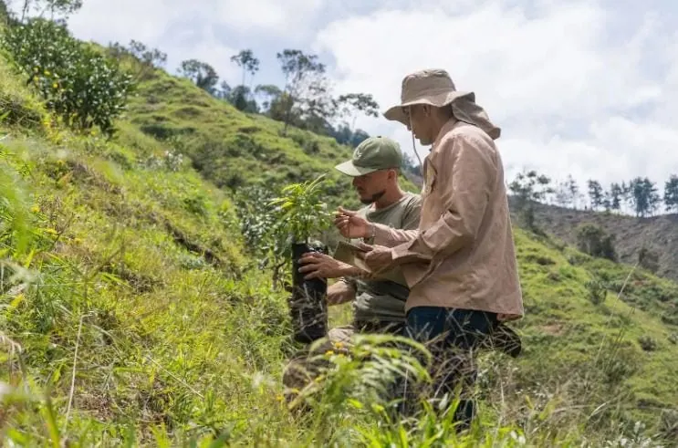 sector agropecuario en Colombia