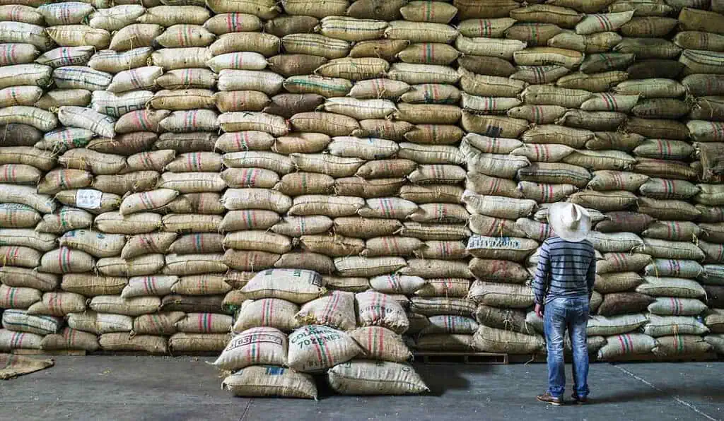 Colombia cerrará el año 2025 con récord en producción de café café
