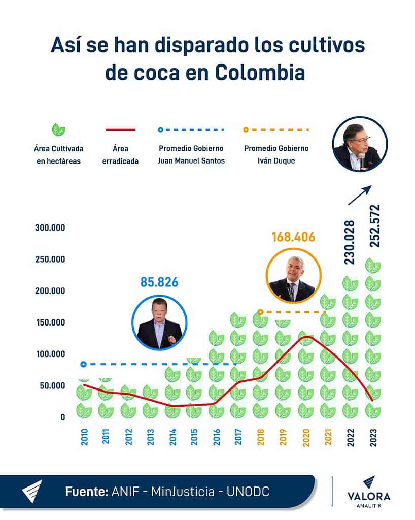 Así han aumentado los cultivos ilícitos de coca durante los gobiernos Duque y Petro Así se han disparado los cultivos de coca.