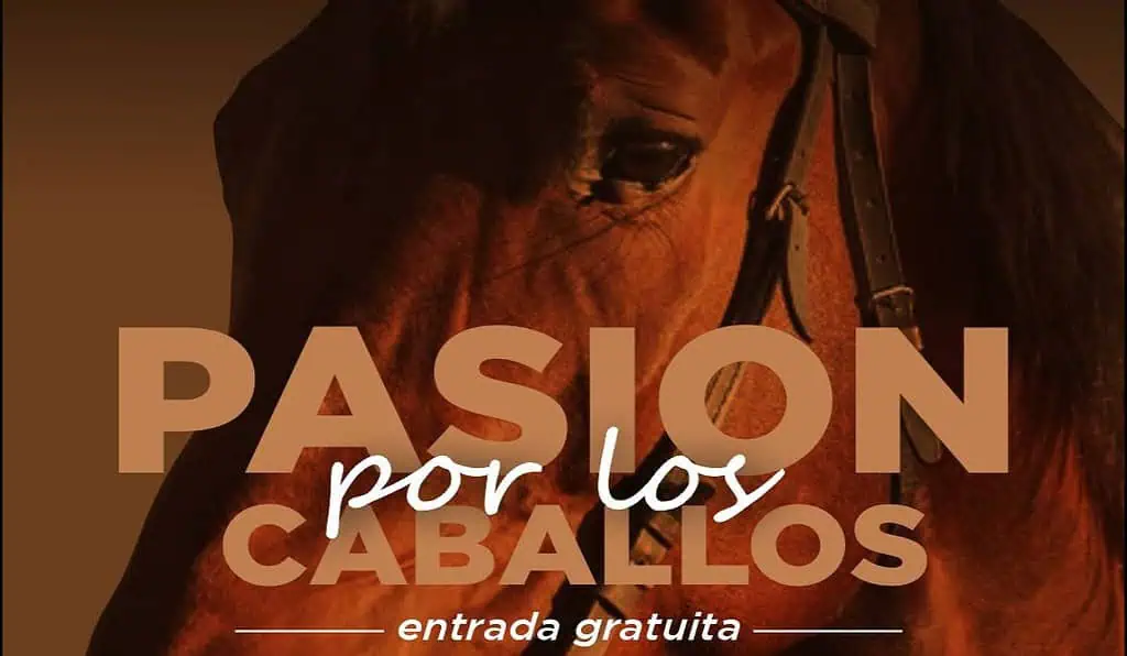 Bogotá Horse Week 2025: estos son los detalles del evento ecuestre Bogotá Horse Week 2025