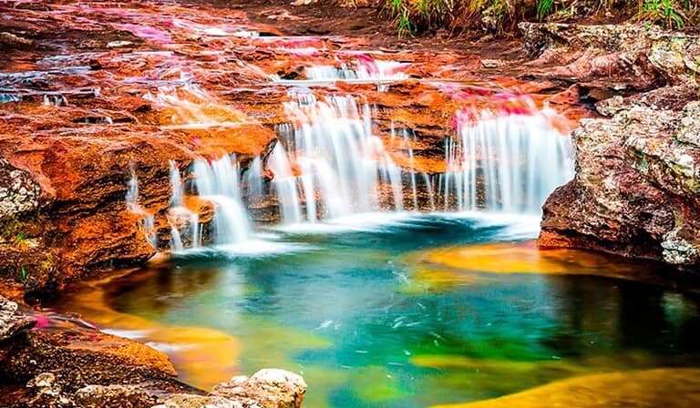 Caño Cristales es conocido como el río de los cinco colores.
