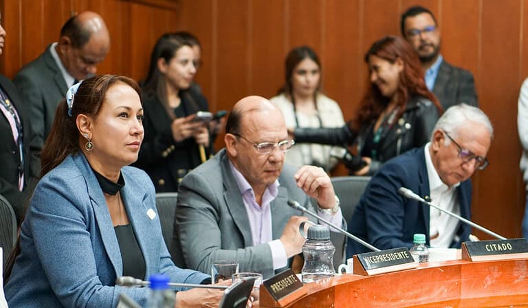 Debate político en la Comisión del Senado, ministros de Hacienda y Salud