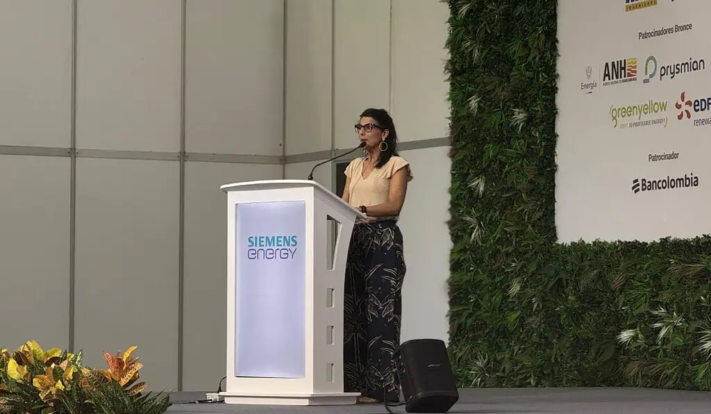 ANLA crea grupo para priorizar licencias de energías renovables Directora de la ANLA, Irene Vélez