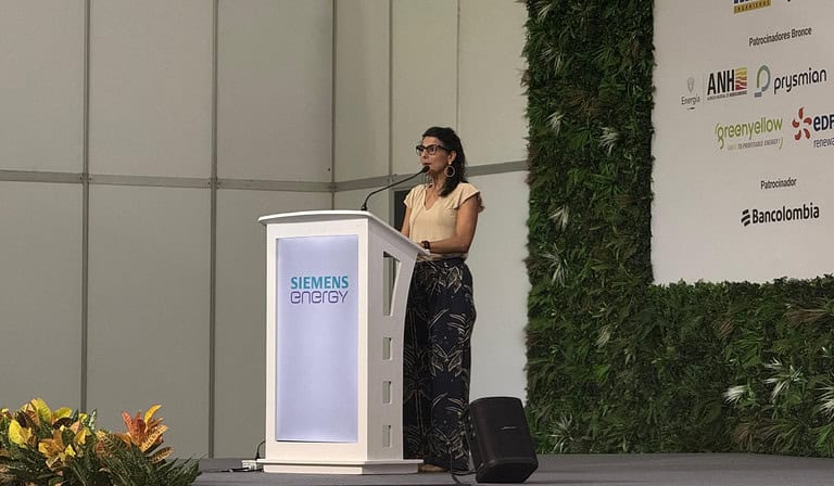 Directora de la ANLA, Irene Vélez