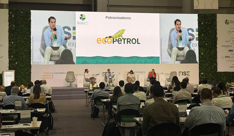 Calificadoras e inversionistas alertan por barreras para invertir en energías renovables en Colombia