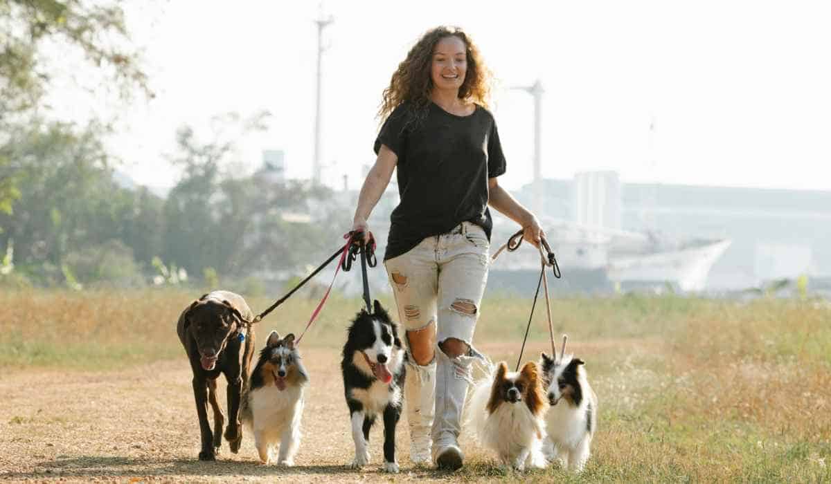 Ley respalda multa para quienes paseen perros sin correa