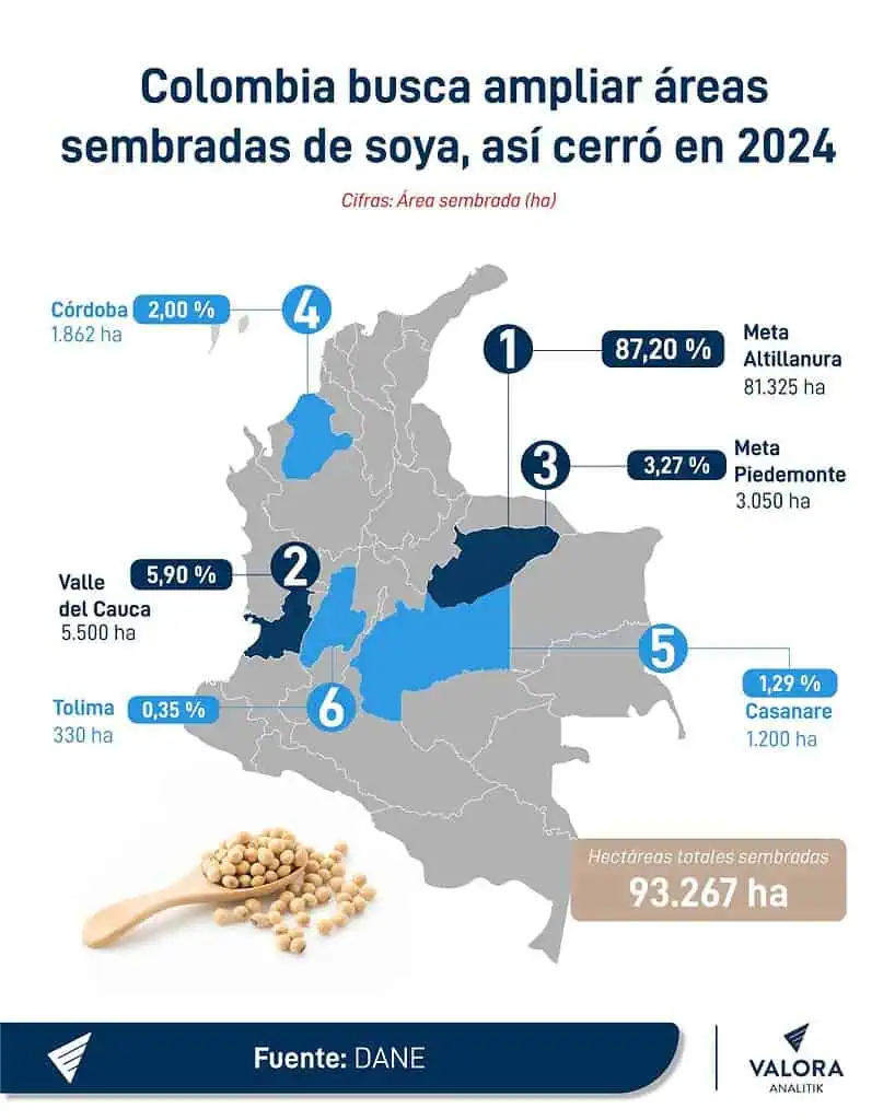 Colombia importa 2,5 millones de toneladas de soya y solo produce 200.000: avanza plan para aumentar siembras Soya