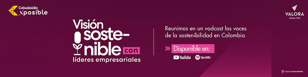 Vision-sotenible