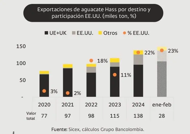 Mercado estadounidense seguiría siendo foco del aguacate Hass de Colombia pese a aranceles Aguacate Hass