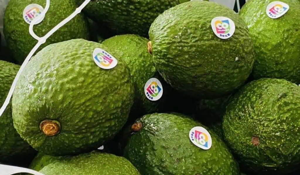 Este es uno de los productos agrícolas colombianos que liderará crecimiento de exportación en 2026 Grupo Cartama