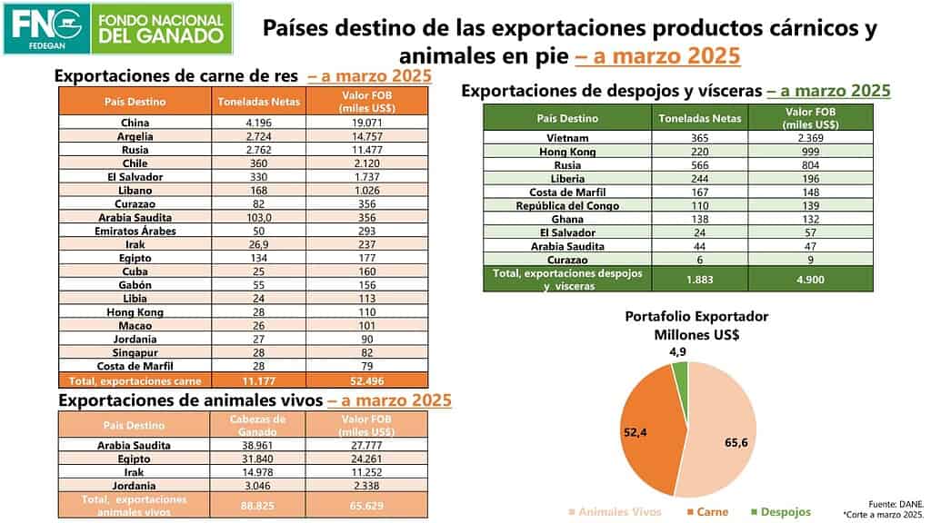 Exportaciones bovinas de carne y leche llegaron a récord en primer trimestre de 2025 Exportaciones bovinas de ganado y leche