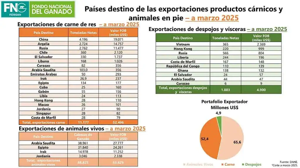 Exportaciones bovinas de carne y leche llegaron a récord en primer trimestre de 2025 Exportaciones bovinas de ganado y leche
