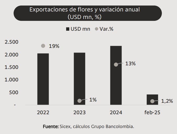Sector floricultor de Colombia sigue con ventajas frente a Ecuador pese a aranceles de Trump Sector floricultor de Colombia