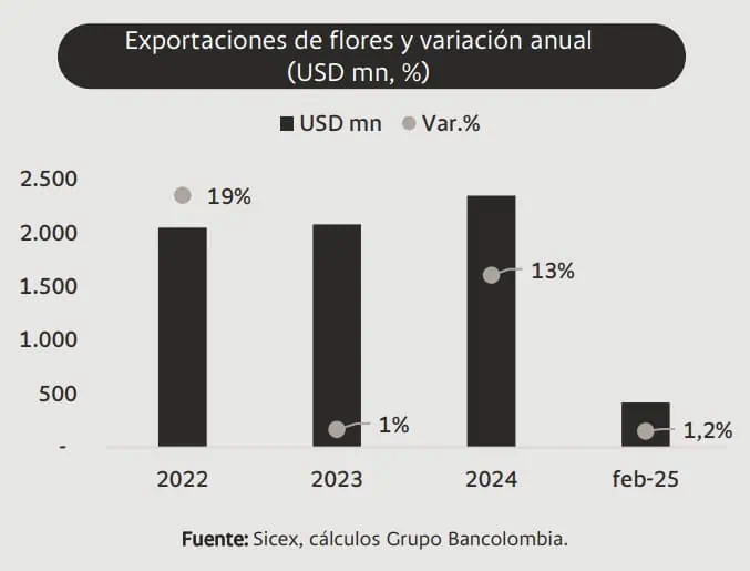 Sector floricultor de Colombia sigue con ventajas frente a Ecuador pese a aranceles de Trump Sector floricultor de Colombia