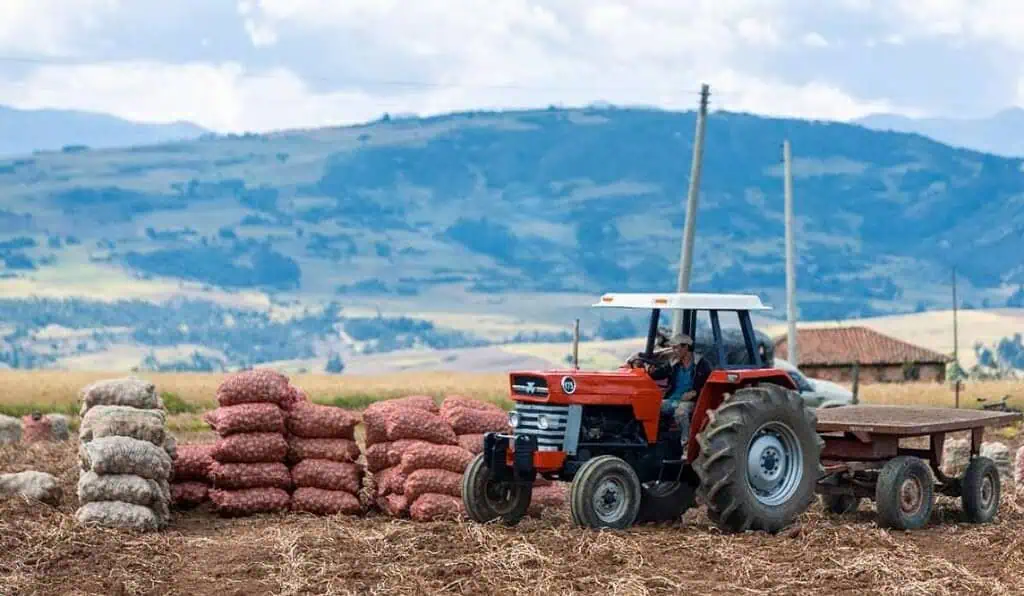 NowCast Bancolombia: Economía colombiana habría crecido un 2,9 % en el segundo trimestre de 2025 NowCast Bancolombia