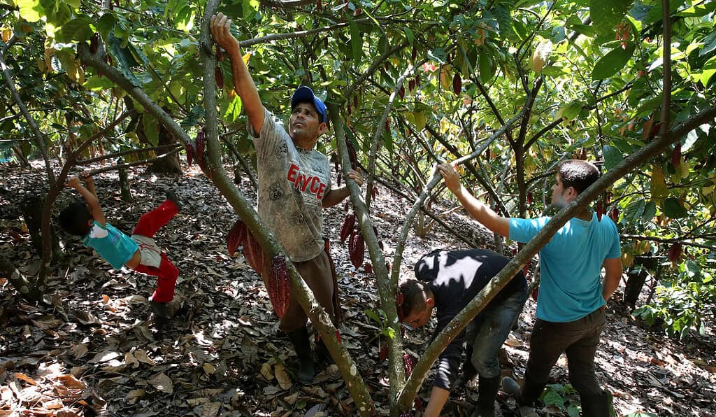 Exportaciones en Colombia