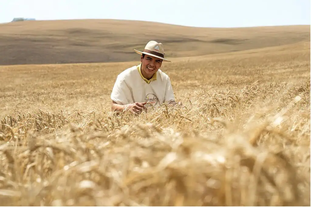 AGRICULTOR PROGRAMA BAVARIA El programa ha beneficiado a más de 800 familias. Foto: Bavaria.