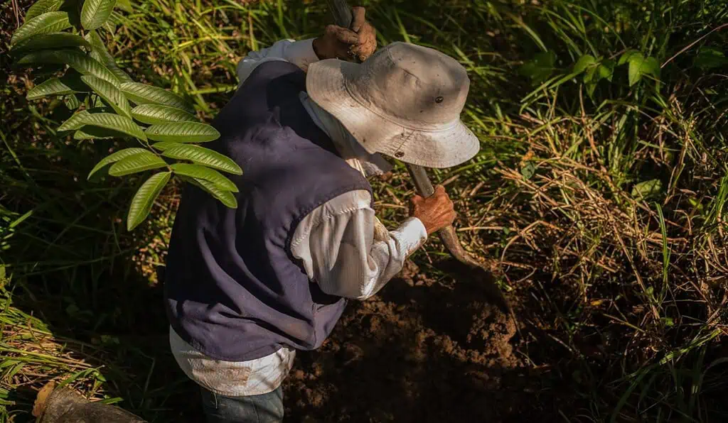 Comfama revela avances en proyectos de infraestructura en Antioquia; movilizan cerca de 1.500 empleos Agroparque Biosuroeste