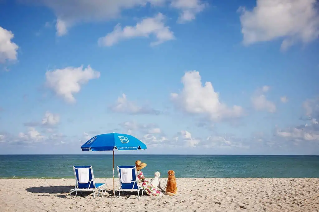 El hotel boutique de lujo en Miami que tiene Llave Michelin: Estos son los precios Playa The Betsy. Foto: cortesía The Betsy.
