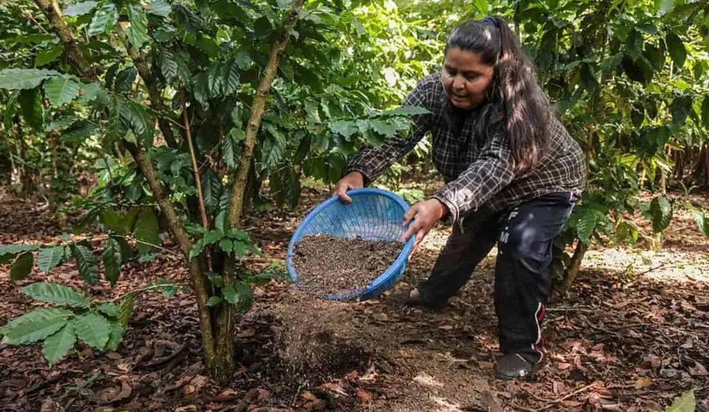 Tensiones geopolíticas globales le pegan al precio de los fertilizantes en Colombia y el mundo Guerra en Irán