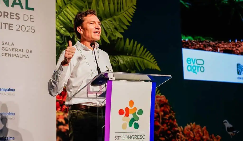 El 99 % del área cultivada de aceite de palma en Colombia es libre de deforestación; sector pide garantías de seguridad Fedepalma
