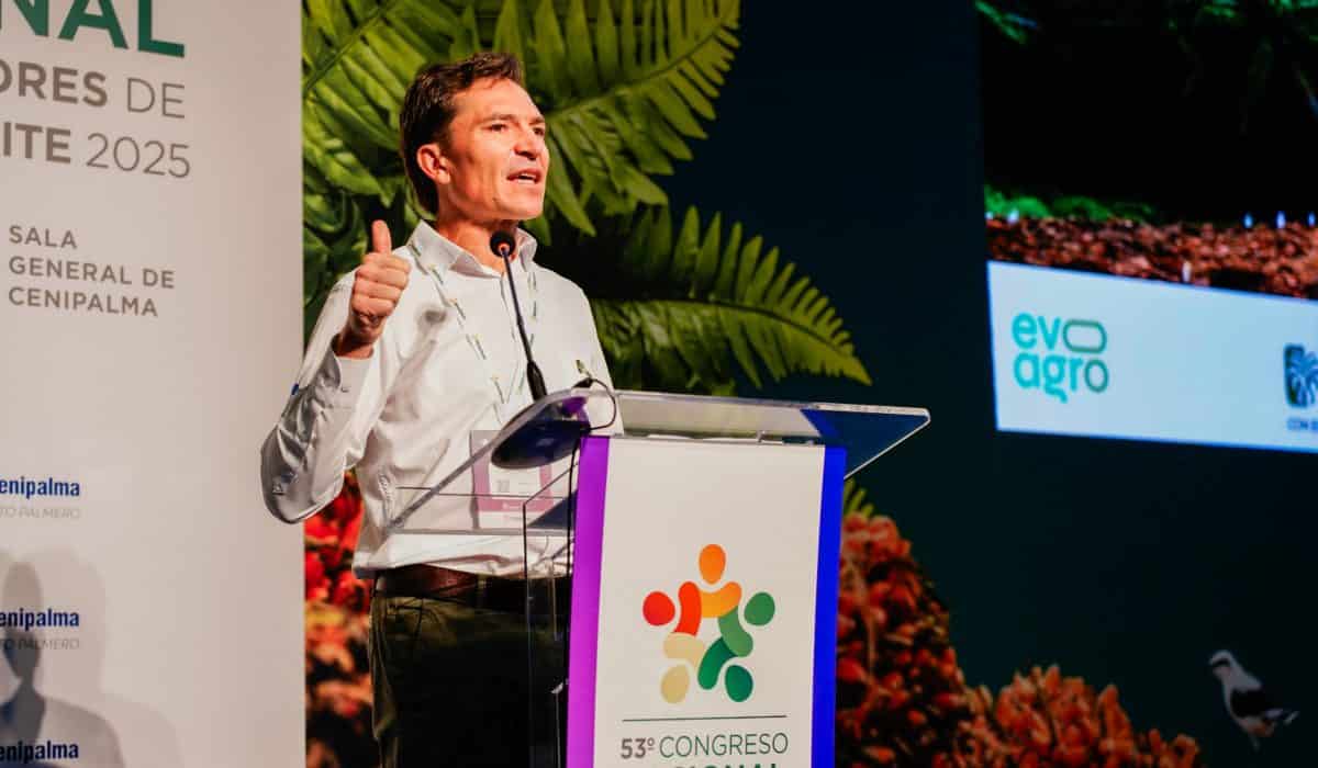 El 99 % del área cultivada de aceite de palma en Colombia es libre de deforestación; sector pide garantías de seguridad