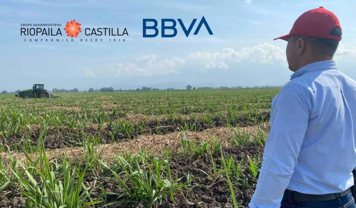 Proveedores de Riopaila Castilla tendrán acceso a financiación más económica con línea de BBVA