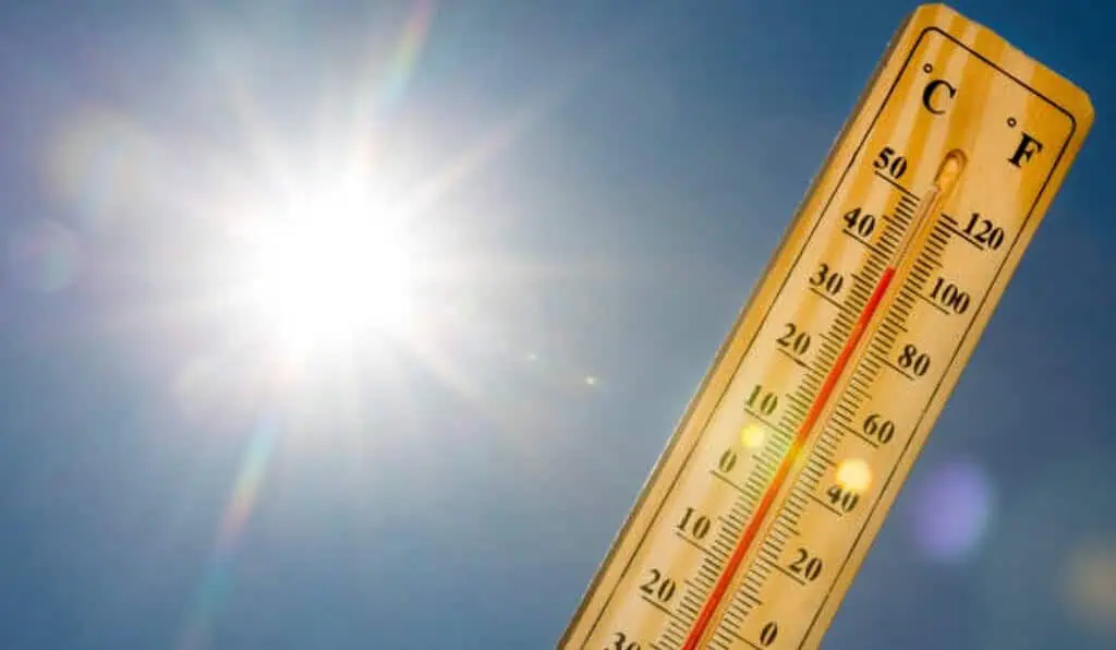Ola de calor histórica en Europa: incendios y alerta máxima Ola de calor histórica en Europa: incendios y alerta máxima