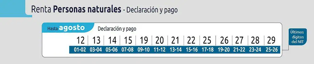 ¿Qué impuestos deben pagarse en agosto? Esto debe saber para evitar sanciones Declaración de renta