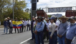 Paro arrocero