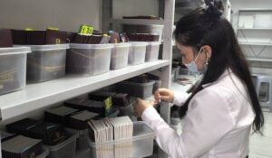 Home - Valora Analitik Pasaporte pasaportes en Colombia