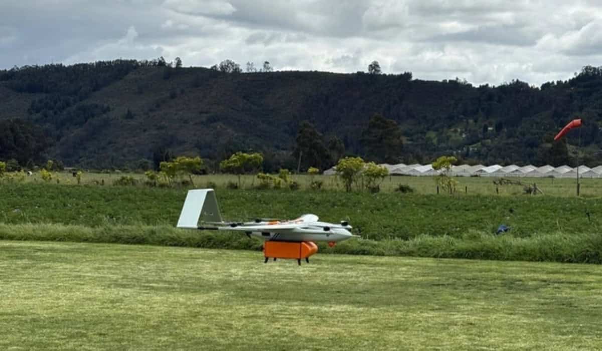 Drone