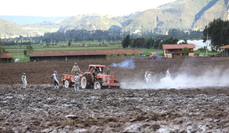 Fertilizantes en Colombia