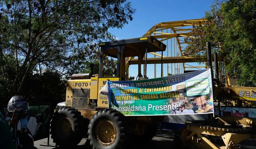 Precio del arroz en Colombia subiría con fuerza por nueva medida: Golpe lo sentirían de inmediato los hogares precio del arroz en Colombia