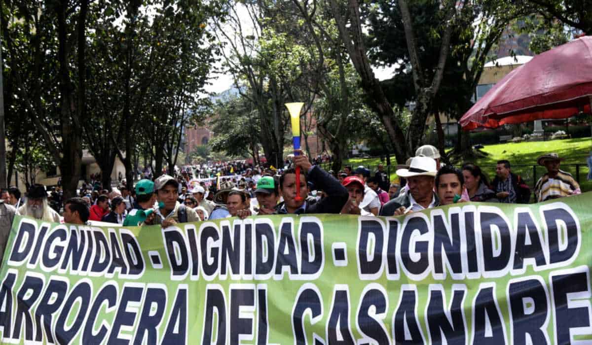 Paro arrocero avanza este 15 de julio en Colombia: ¿cómo van las conversaciones?