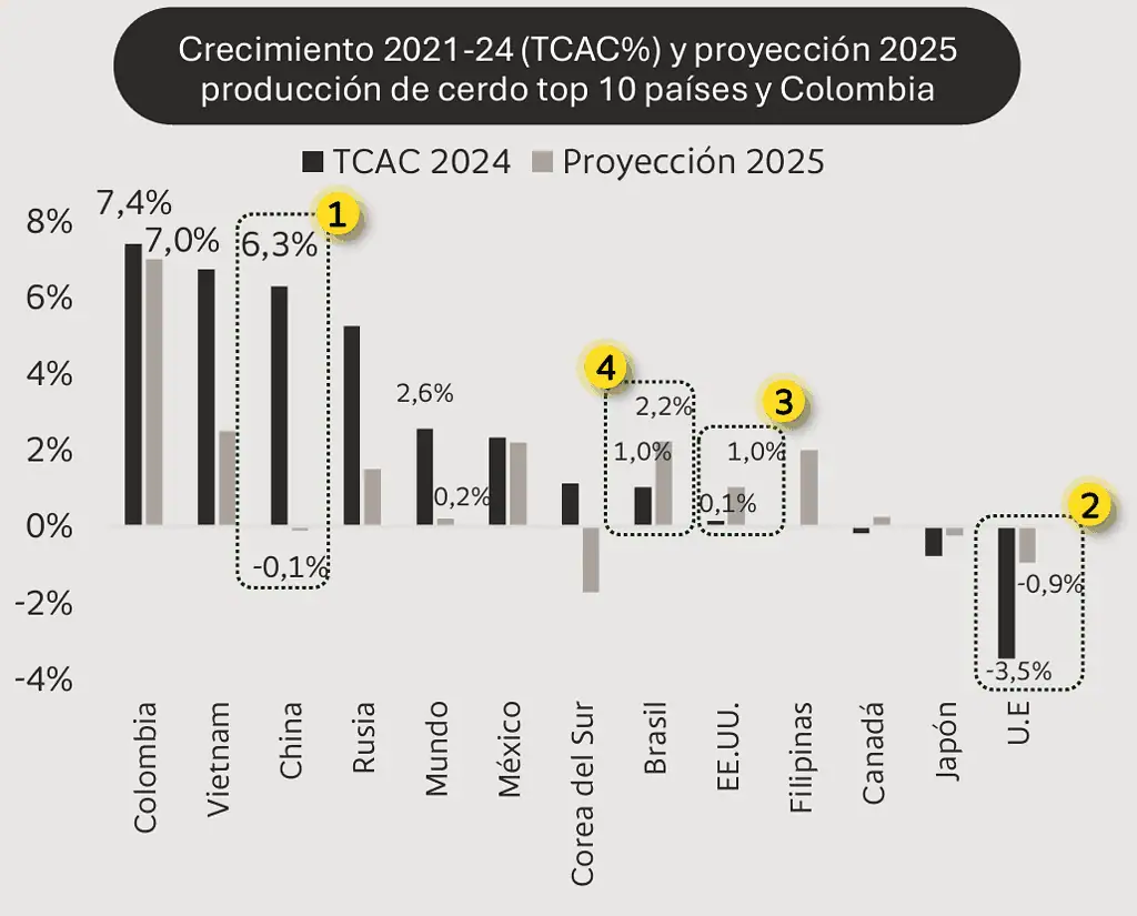 Sector porcicultor crece más en Colombia que en el resto del mundo; mejorar las exportaciones, el gran reto Sector porcicultor en Colombia