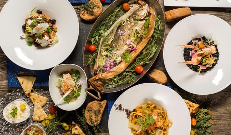 Miami Spice Restaurant Months